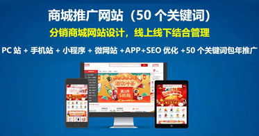 商城網站開發(fā)