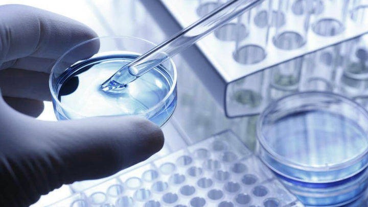 自動(dòng)分液系統(tǒng)在高通量細(xì)胞鋪板中的應(yīng)用及效能評(píng)估