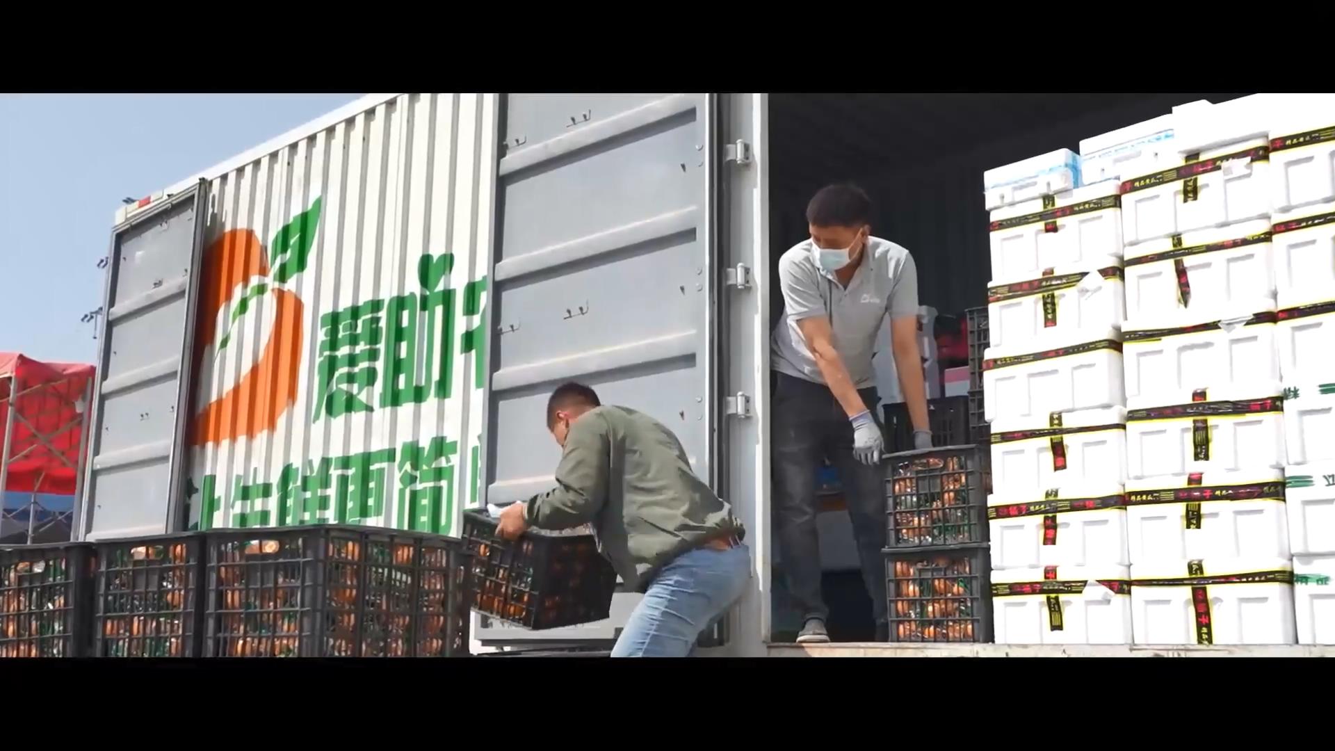 余金華：數(shù)智賦能 科技興農(nóng)【無水印版】